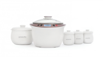 Pensonic Ceramic Stew Cooker 2.5L | PDB-453