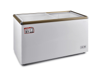 Pensonic Commercial Freezer | PFZ-408G