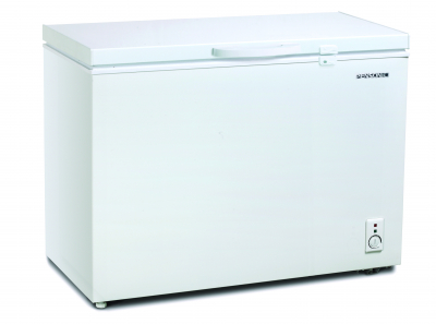 Pensonic Chest Freezer | PFZ-302