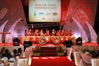 Cultural Charity Night