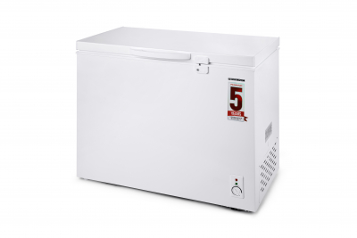 Pensonic Chest Freezer | PFZ-204G